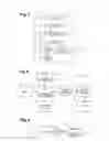 Fig. 07 - METHOD AND APPARATUS FOR IDENTIFYING CUSTOMERS FOR DELIVERY OF PROMOTIONAL MATERIALS