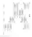 Fig. 08 - E-couponing