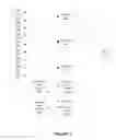 Fig. 02 - Automated Targeting of Information to a Website Visitor
