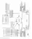 Fig. 02 - Dispersed storage network virtual address fields