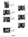 Fig. 06 - Method of generating artistic template designs