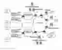 Fig. 01 - Management of the distribution of contents