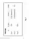 Fig. 02 - Transgenic Animal Model of Cancer and Methods of Use