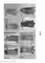 Fig. 03 - Transgenic Animal Model of Cancer and Methods of Use