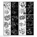 Fig. 01 - COMPOSITIONS AND METHODS FOR CANCER GENE DISCOVERY
