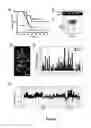 Fig. 04 - COMPOSITIONS AND METHODS FOR CANCER GENE DISCOVERY