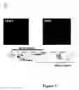 Fig. 06 - COMPOSITIONS AND METHODS FOR CANCER GENE DISCOVERY