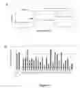 Fig. 09 - COMPOSITIONS AND METHODS FOR CANCER GENE DISCOVERY