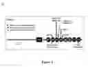 Fig. 10 - COMPOSITIONS AND METHODS FOR CANCER GENE DISCOVERY