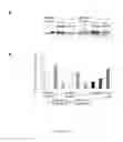 Fig. 09 - Methods and Compositions Capable of Causing Post-Transcriptional Silencing of Gene Expression in a Synergic Manner