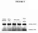Fig. 06 - Methods and compositions for targeted cleavage and recombination