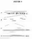 Fig. 10 - Methods and compositions for targeted cleavage and recombination