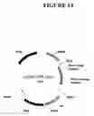 Fig. 15 - Methods and compositions for targeted cleavage and recombination