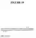 Fig. 20 - Methods and compositions for targeted cleavage and recombination
