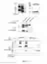 Fig. 06 - METHODS OF MODULATING THE ORGANIC SOLUTE AND STEROID TRANSPORTER (OSTalpha-OSTbeta) ACTIVITY AND TREATING ASSOCIATED CONDITIONS
