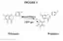 Fig. 02 - Phloretin glycosyltransferases, polynucleotides encoding these and methods of use