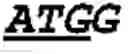 Fig. 05 - Nucleic acids encoding plant glutamine phenylpyruvate transaminase (GPT) and uses thereof