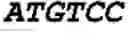 Fig. 07 - Nucleic acids encoding plant glutamine phenylpyruvate transaminase (GPT) and uses thereof