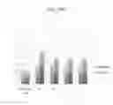 Fig. 27 - Nucleic acids encoding plant glutamine phenylpyruvate transaminase (GPT) and uses thereof