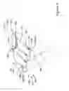 Fig. 07 - Lower body garment with integral back support