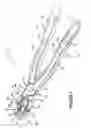 Fig. 03 - Insulating Hand Tool