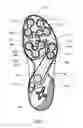 Fig. 09 - Sole for a shoe, in particular for a running shoe