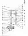 Fig. 02 - Double clutch winding transmission