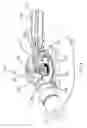 Fig. 05 - Adjustable Pulley Assembly