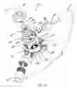 Fig. 06 - Adjustable Pulley Assembly