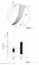 Fig. 06 - Harmonic drive camshaft phaser with improved radial stability