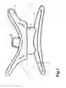 Fig. 02 - Device for preventing leakage from the mouth