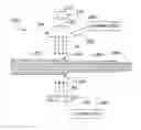 Fig. 01 - Medical devices and methods of making the same