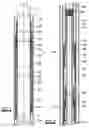 Fig. 02 - Overshot tool and method