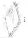 Fig. 06 - Lower frame for a product holder, holder and operating procedure