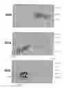 Fig. 07 - Imaging apparatus having imaging assembly