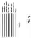 Fig. 07 - Transaction card