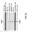 Fig. 08 - Transaction card