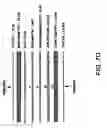 Fig. 09 - Infrared blocking article
