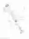 Fig. 09 - Pawl assembly