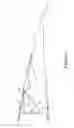 Fig. 02 - Pinned lug joint