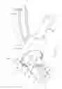 Fig. 02 - Support assembly