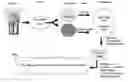 Fig. 01 - Method for generation and use of isotopic patterns in mass spectral data of simple organisms