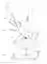 Fig. 01 - Method for stem sample inspection in a charged particle beam instrument