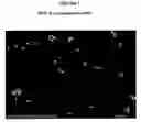 Fig. 02 - Smoke suppressants