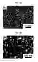 Fig. 04 - Laser-induced structuring of substrate surfaces