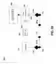 Fig. 35 - Puzzle with conductive path
