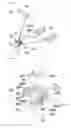 Fig. 02 - Tricycle kick board