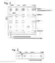 Fig. 03 - Socketless integrated circuit contact connector