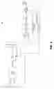 Fig. 09 - Digital phase-locked loop clock system