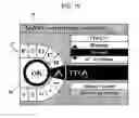 Fig. 10 - Interface system for a road vehicle provided with a liquid-crystal display and a control device for controlling the information appearing on the display